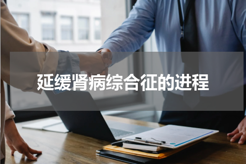 延缓肾病综合征的进程