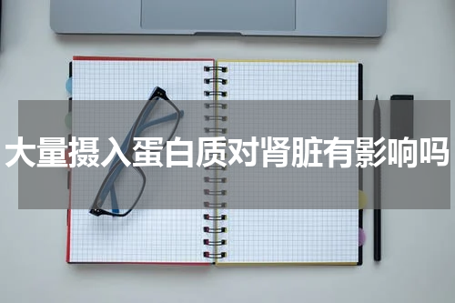 大量摄入蛋白质对肾脏