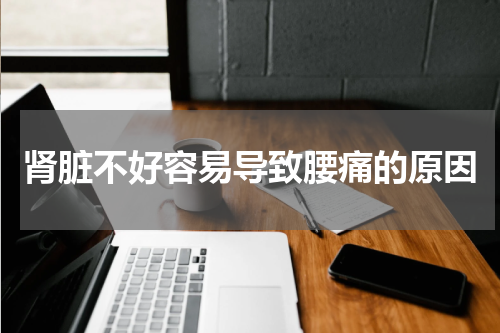 肾脏不好容易导致腰痛的原因