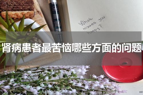 肾病患者最苦恼哪些方面的问题